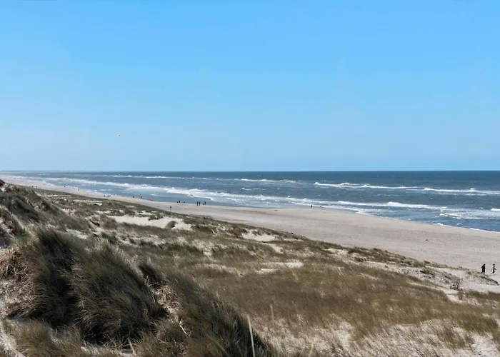 528-hvide-sande-riskrogvej-28